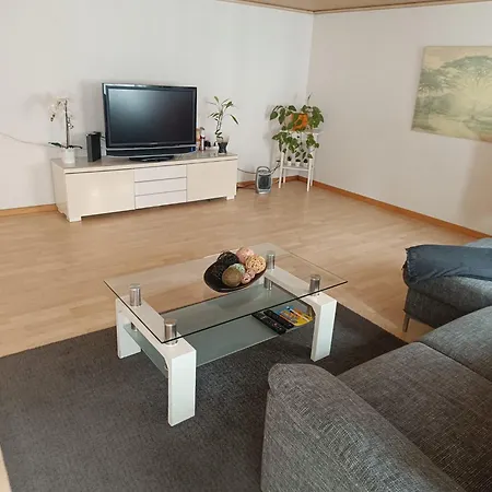 En El Centro De St Gallen Daire *