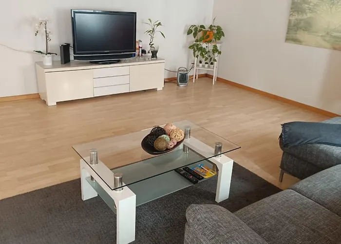 En El Centro De St Gallen Apartament *