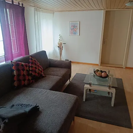 شقة En El Centro De St Gallen سانت غالن